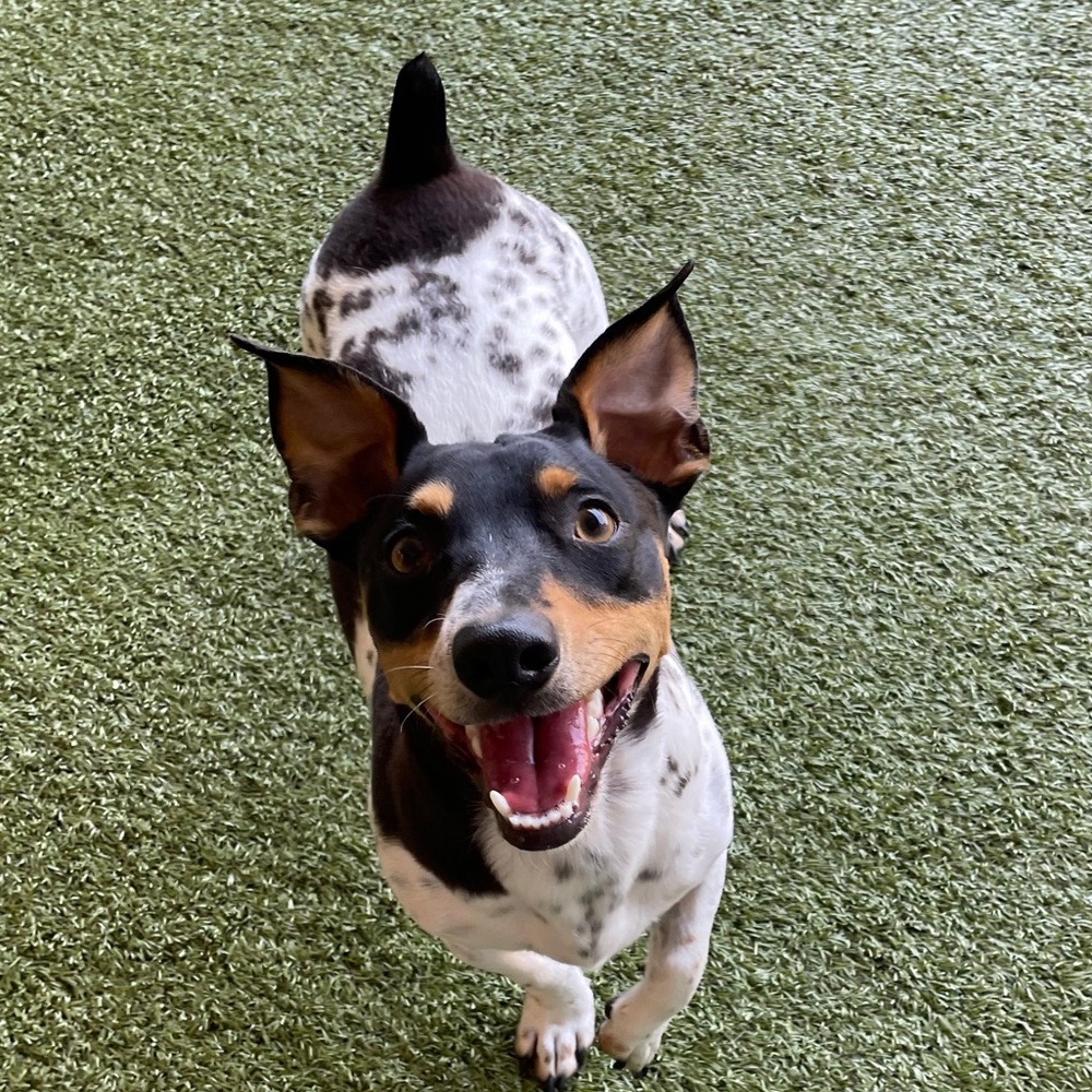 Meet your Posher, Jacki